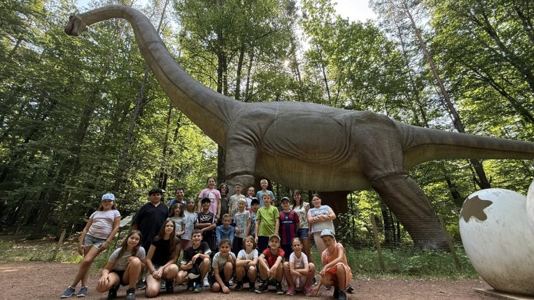 Schullandtage der 4. Klassen im Styrassic-Park