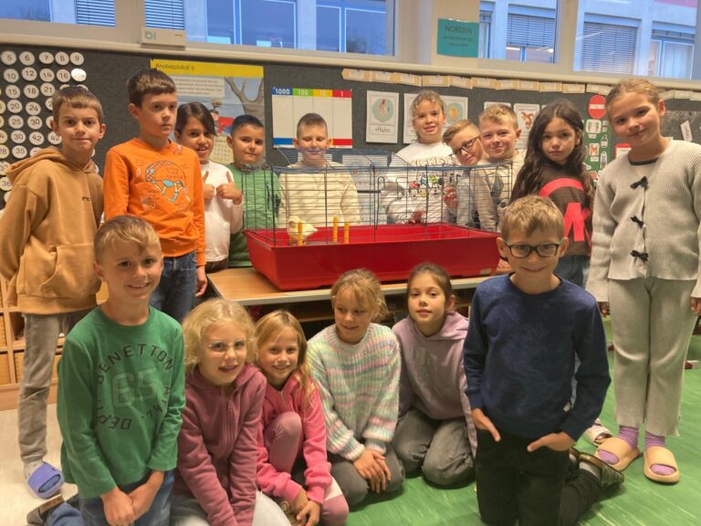 Küken schlüpfen im Klassenzimmer der 3. Klasse