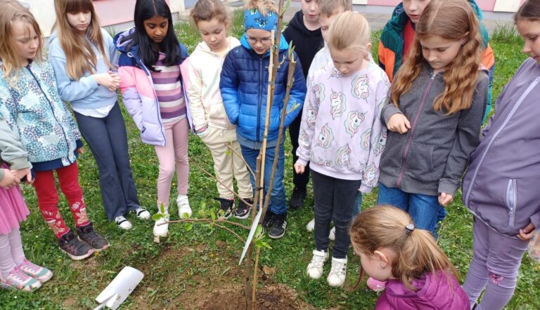 1000 Bäume fürs Klima