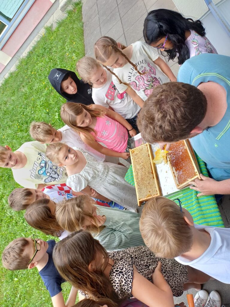 🐝 Der Imker zu Besuch bei den zweiten Klassen 🐝