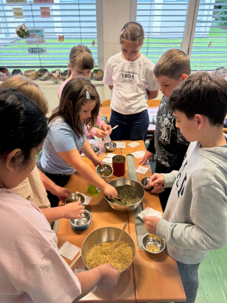 Kräuterworkshop der 3. Klassen