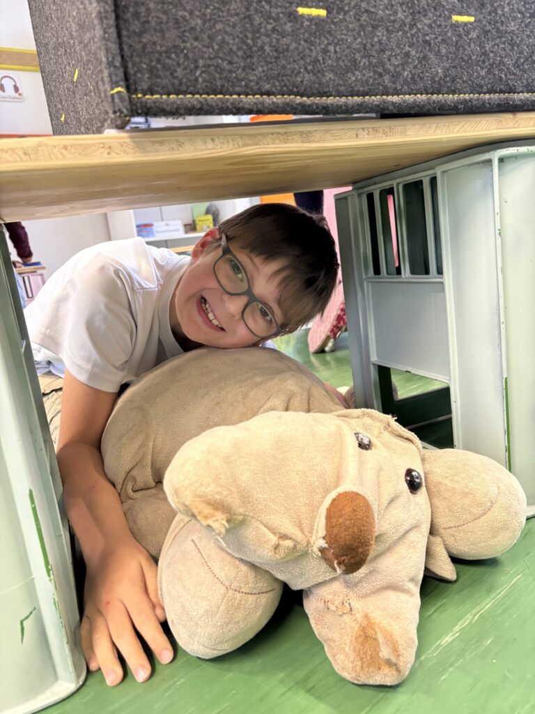 Kuscheltiertag der 2b 🧸